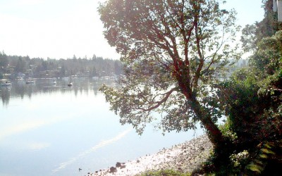 A reminder: Nature’s Ebb & Flow